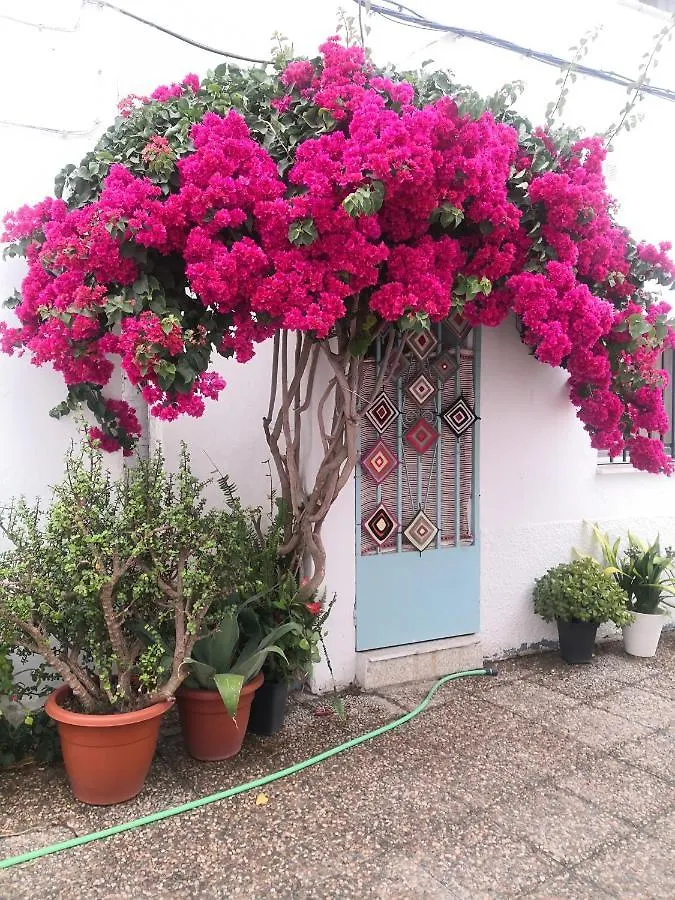 Corazon De Conil Apartment Conil De La Frontera 0*,