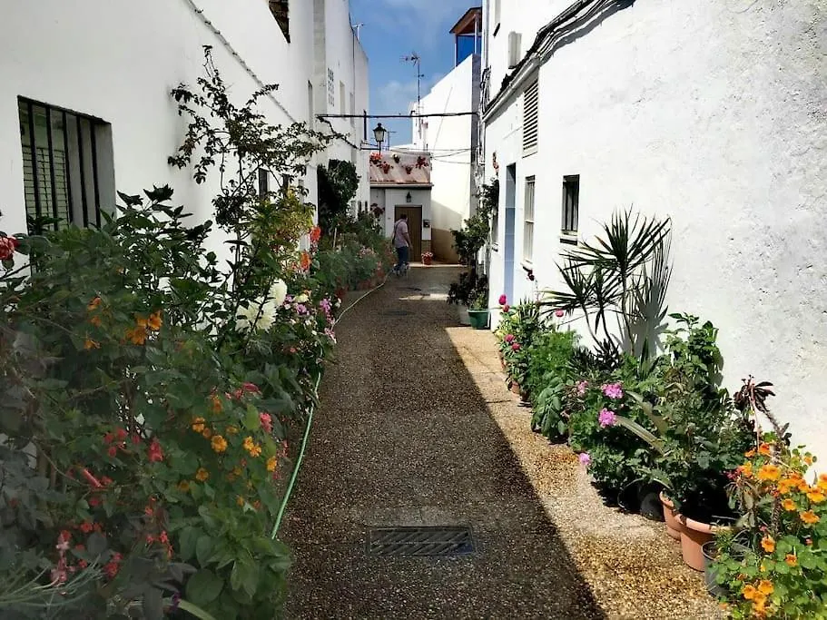 Corazon De Conil Apartment Conil De La Frontera